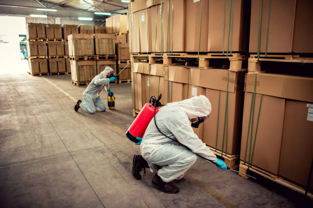 Best Best Pest Control Companies  in Dade City, FL