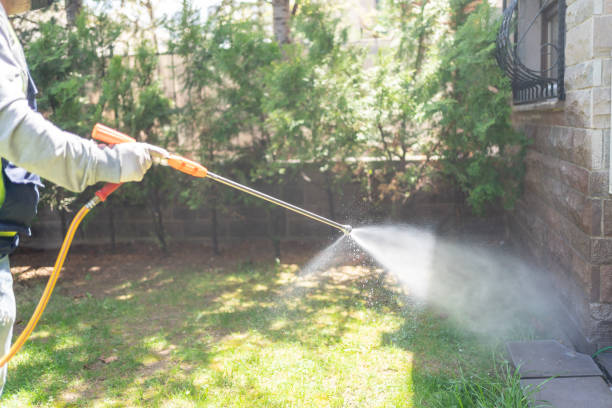 Best Mosquito Control Services  in Dade City, FL