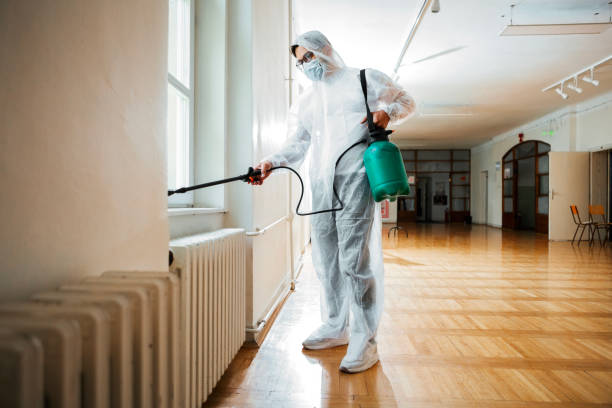 Best Pest Control Near Me  in Dade City, FL